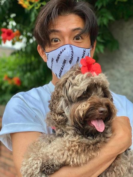 キムタクの愛犬 アムールの犬種はオーストラリアンラブラドゥードル 値段と性別は Tsuru 蔓