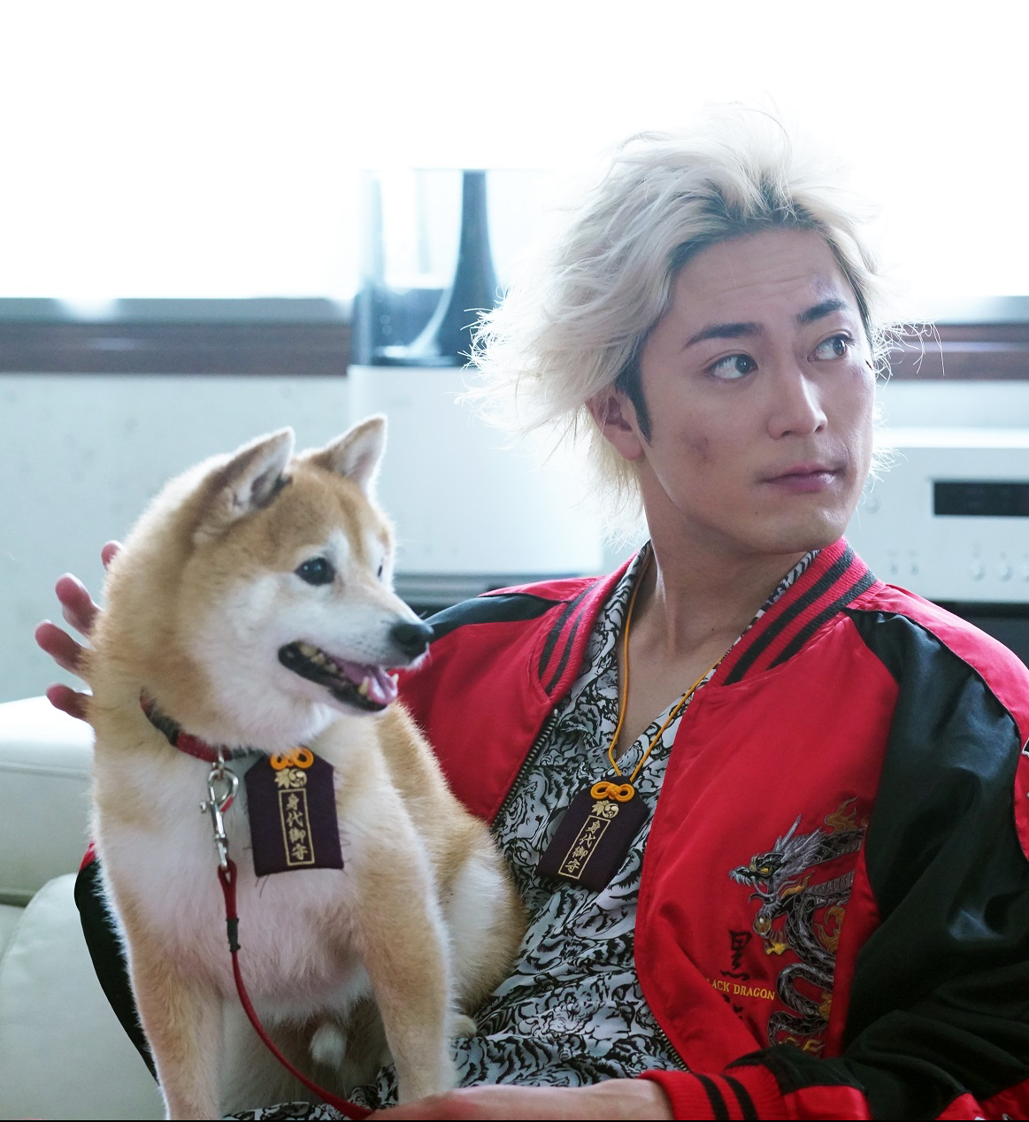 ナンバmg5松の犬種は柴犬 名前は豆三郎で声は津田健次郎 Tsuru 蔓